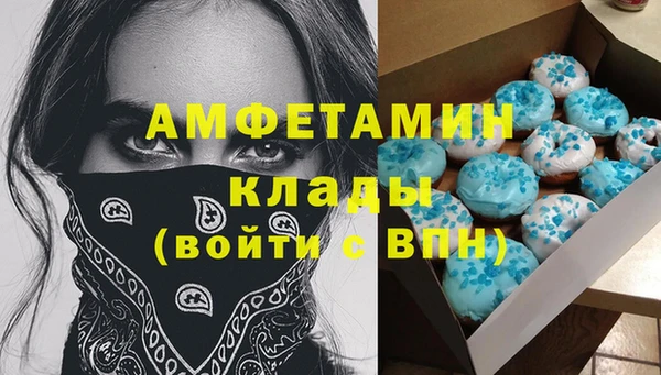 молекула духа Козельск