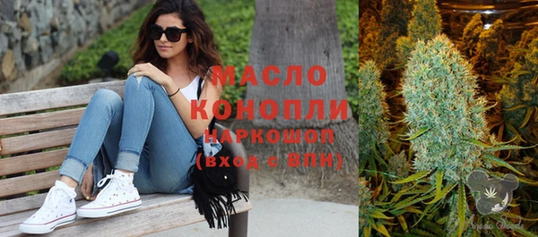 молекула духа Козельск
