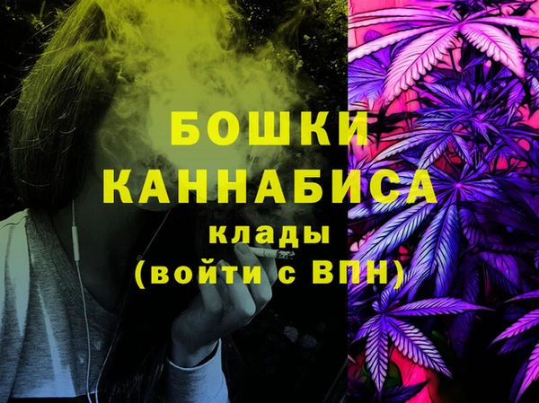 молекула духа Козельск
