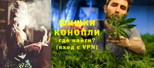 молекула духа Козельск