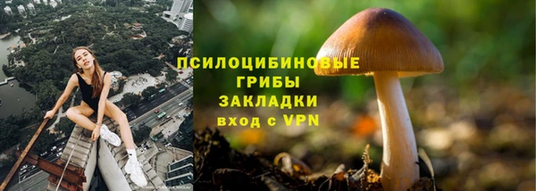 молекула духа Козельск