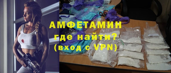 молекула духа Козельск