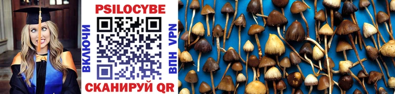 хочу нарко площадка клад Псилоцибиновые грибы Psilocybe Котово